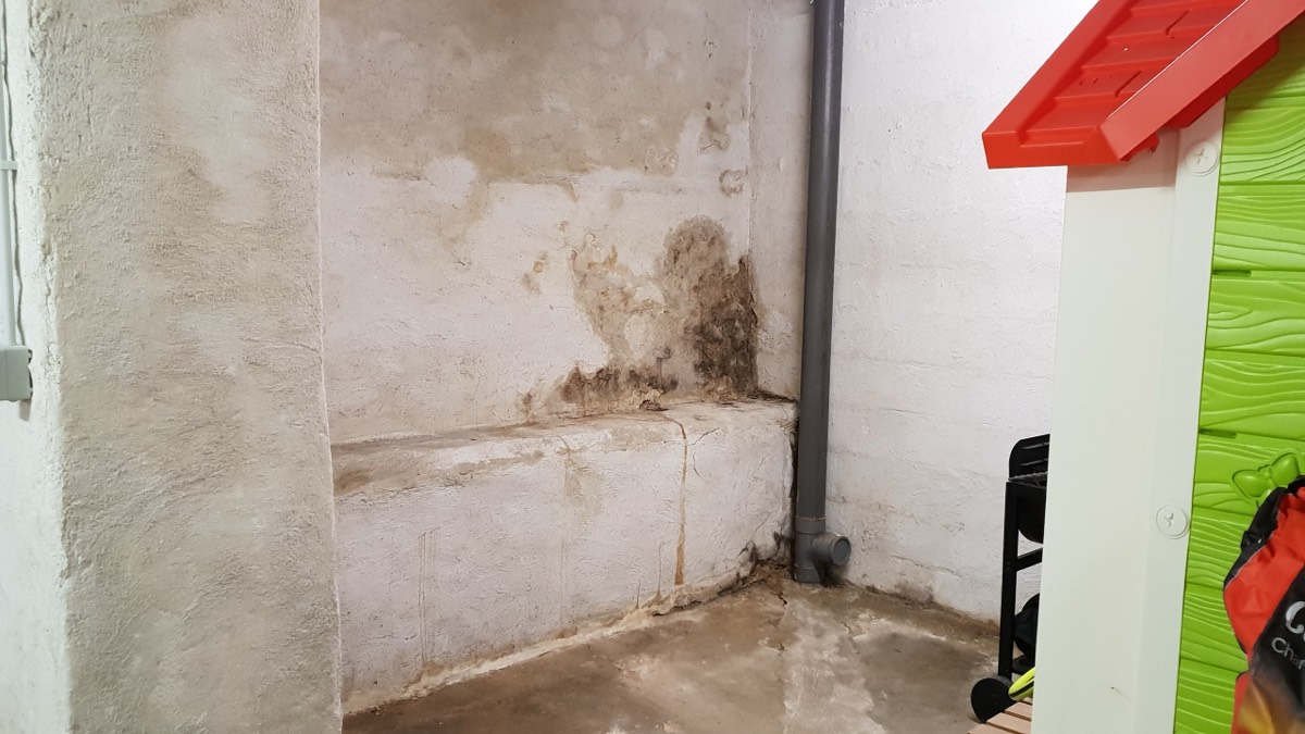 Infiltrations d'eau - Expertise humidité à Calais